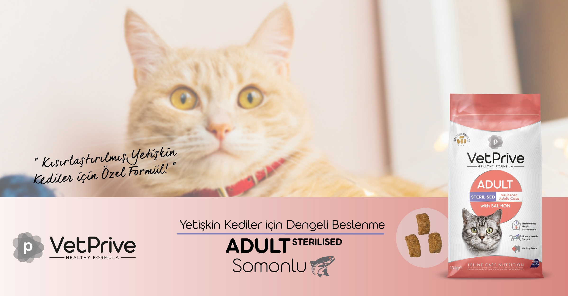 Vet%20Prive%20Somonlu%20Kısırlaştırılmış%20Kedi%20Maması%2010kg