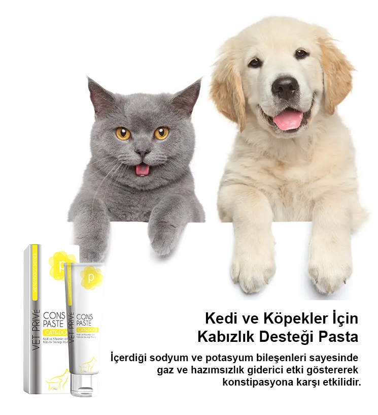 Vet%20Prive%20Cons%20Kabızlık%20Desteği%20Malt%20Pasta%20100gr%20(Kedi%20ve%20Köpekler%20için)