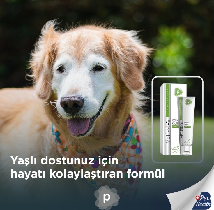 Vet%20Prive%20İleri%20Yaş%20İçin%20Destekleyici%20Geria%20Pasta%20100gr%20(Kedi%20ve%20Köpekler%20için)