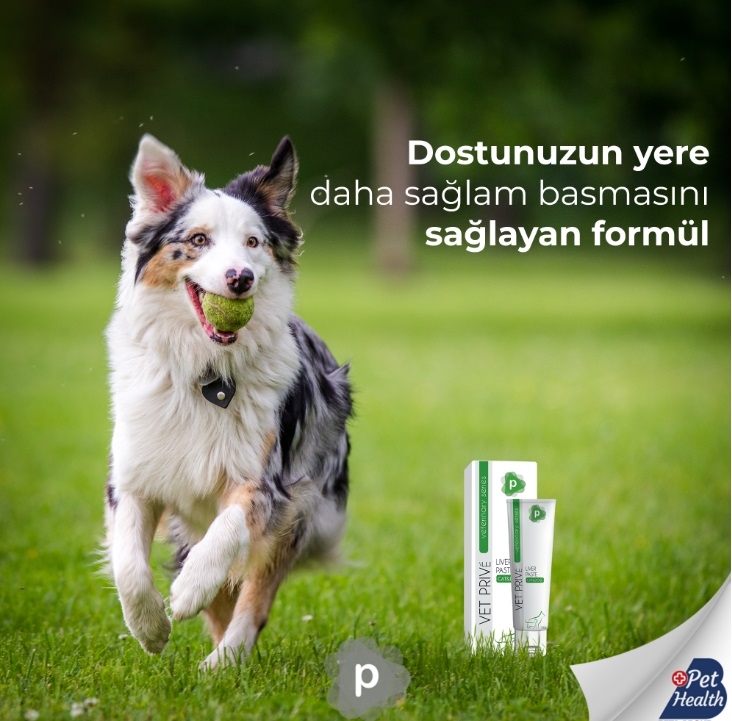 Kedi%20Ve%20Köpekler%20Için%20Karaciğer%20Desteği%20100gr.%20Liver%20Paste