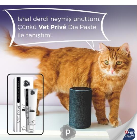 Vet Prive Kedi Ve Köpekler Için Sindirim Sistemi Desteği Pasta