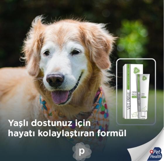 Vet Prive İleri Yaş İçin Destekleyici Geria Pasta 100gr (Kedi ve Köpekler için)