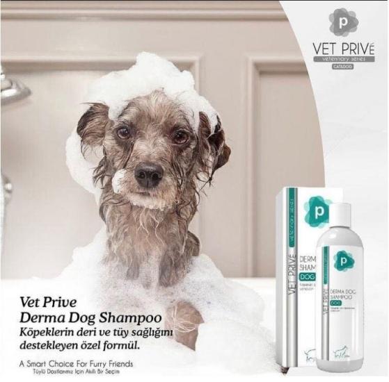 Derma Dog Shampoo/ Köpek Sıvı Şampuan 200 Ml