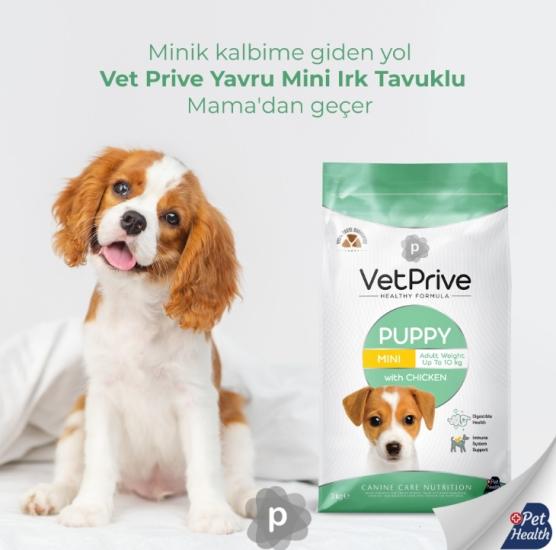 Puppy Mini Ve Küçük Irk Tavuklu yavru köpek maması 3 kg